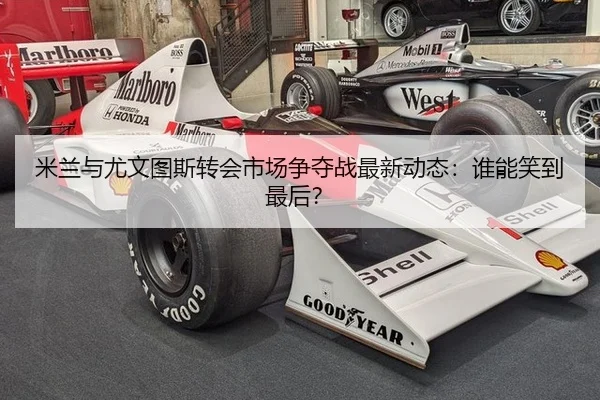 mi-lan-yu-you-wen-tu-si-zhuan-hui-shi-chang-zheng-duo-zhan-zui-xin-dong-tai-shui-neng-xiao-dao-zui-hou-2-230.jpg