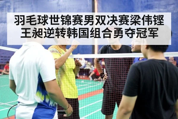 羽毛球世锦赛男双决赛梁伟铿王昶逆转韩国组合勇夺冠军