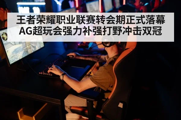 王者荣耀职业联赛转会期正式落幕 AG超玩会强力补强打野冲击双冠